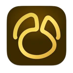 Navicat Premium 17.3.3 Mac中文Mac激活版 软件下载-山海之花 - 宝藏星球屋