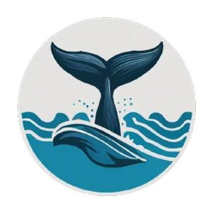 WhaleDown 2025.08.2 Mac激活版/ 强大的在线视频与音频下载工具 软件下载-山海之花 - 宝藏星球屋