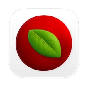 Lingon Pro for Mac v10.1.4Mac激活版 自动化管理工具 软件下载-山海之花 - 宝藏星球屋