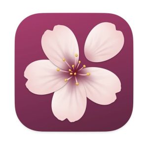Kando v3.0.0 跨平台桌面饼图菜单工具-山海之花 - 宝藏星球屋