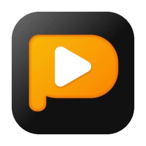 PPTube v10.0.0 多功能视频下载器，从主流网络平台下载并转换视频音频内容-山海之花 - 宝藏星球屋