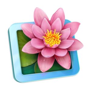 LilyView 极简图片查看工具，轻量快速浏览多格式图片的 macOS 看图软件-山海之花 - 宝藏星球屋