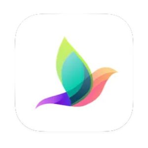 Bluetail - Cut Designer 1.1.0 矢量切割设计工具,海量模板适配印刷与切割机创意制作-山海之花 - 宝藏星球屋