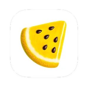 Waterlemon 1.0.18 Codex图标Skill灵感工具,精选图标技能提升AI图标生成效率-山海之花 - 宝藏星球屋