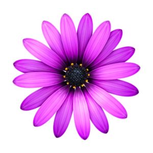 TextMate 2.0.23 轻量级 macOS 代码编辑器，多语言高亮与代码片段让编码更高效-山海之花 - 宝藏星球屋
