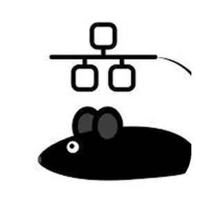 Lan Mouse 鼠标键盘共享:跨平台多设备统一操控的开源方案-山海之花 - 宝藏星球屋