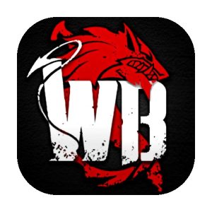 《Wild Born》v1.0 手机完整版！在野性奇幻世界中切换多种武器，实时操作对抗怪物，同一武器可衍生不同打法-山海之花 - 宝藏星球屋
