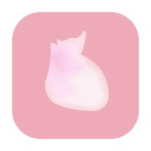 《生命LIFE》v1.0 手机完整版！一款通过触摸拆解和分层观察人体器官来学习构造的安卓模拟器，无任务压力