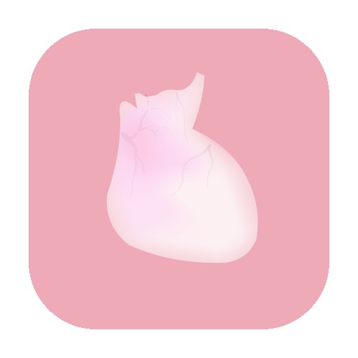 《生命LIFE》v1.0 手机完整版！一款通过触摸拆解和分层观察人体器官来学习构造的安卓模拟器，无任务压力-山海之花 - 宝藏星球屋