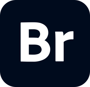 Adobe Bridge 2026 创意资产管理工具，集中浏览组织与批量发布数字资源-山海之花 - 宝藏星球屋