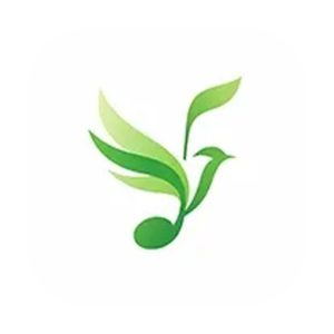 飞鸟·轻音 v2.0.0 手机听歌软件APP，聚合全网音源，无损音乐在线播放-山海之花 - 宝藏星球屋
