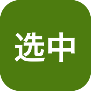 选中翻译：轻量级离线翻译工具，选中即译提升阅读效率-山海之花 - 宝藏星球屋