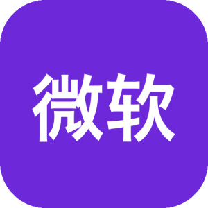 微软Office 2016 专业增强版：长期授权与企业协同办公解决方案-山海之花 - 宝藏星球屋