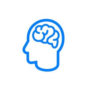 Synapse 1.1.1 Mac激活版 Mac刘海效率工具集合，集成文件收纳截图OCR与窗口管理-山海之花 - 宝藏星球屋