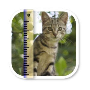 SizeMyPics 1.8.1 批量图像处理工具，一次完成多张照片的缩放转换与压缩-山海之花 - 宝藏星球屋