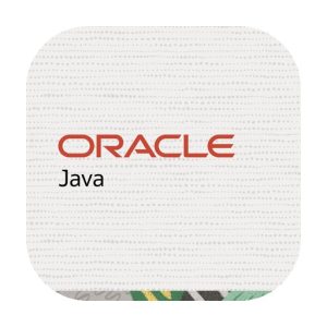 Java SE Development Kit (JDK) v25.0.3 Java的开发工具包-山海之花 - 宝藏星球屋