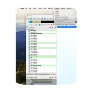 IDA Pro 9.4.260713.a97520e5 反汇编与调试平台，解析二进制程序架构并定位逆向工程难题。-山海之花 - 宝藏星球屋