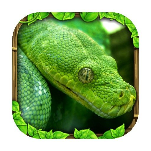 《Snake Simulator》v1.5 手机完整版！扮演一条蛇在野外觅食成长，简单直接的动物生存模拟玩法-山海之花 - 宝藏星球屋