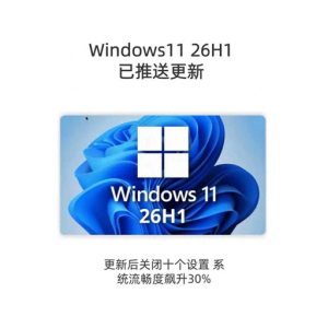 【不忘初心游戏版】Windows11 26H1（ v28000.2704 ） Win11游戏定制优化操作系统-山海之花 - 宝藏星球屋