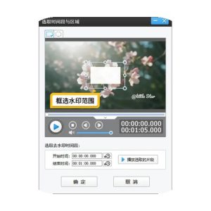 短视频去水印无痕 v1.2 高级版：一站式视频剪辑与去水印工具-山海之花 - 宝藏星球屋