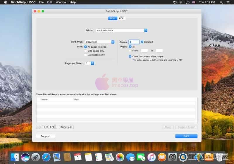 BatchOutput DOC 截图2