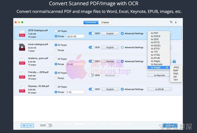 Cisdem PDF Converter OCR 截图2