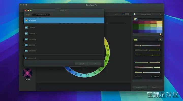 ColorSquid 截图1