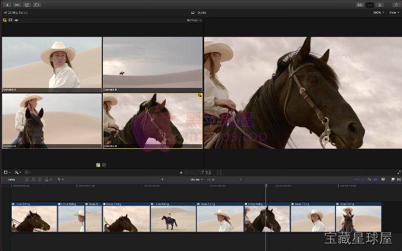 Final Cut Pro 截图3