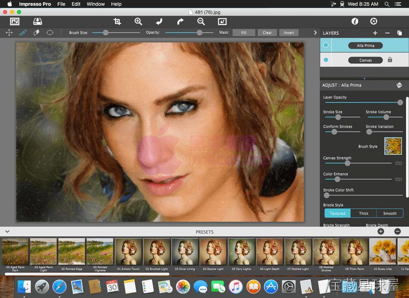 JixiPix Artista Impresso Pro 截图3