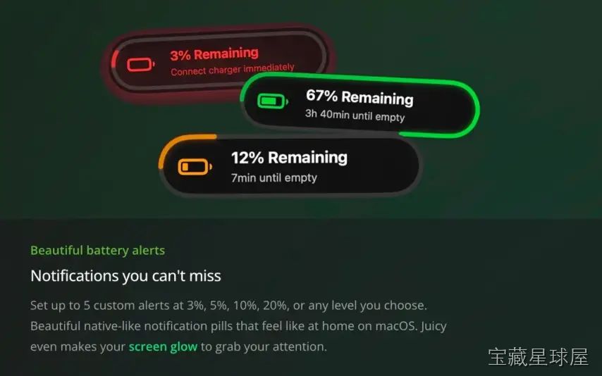 Juicy: Battery Alerts & Health 截图3