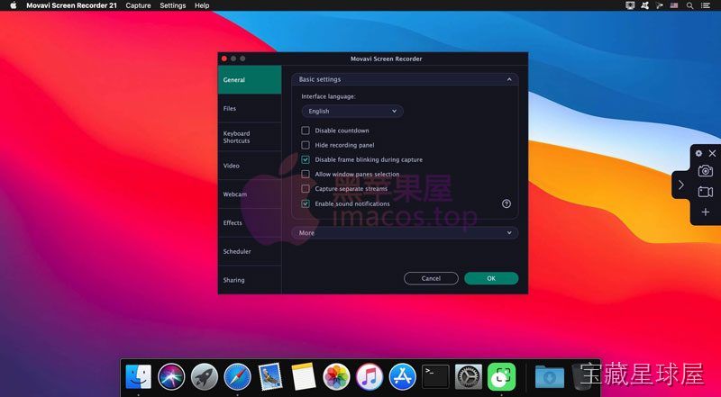 Movavi HD Screen Recorder 截图2