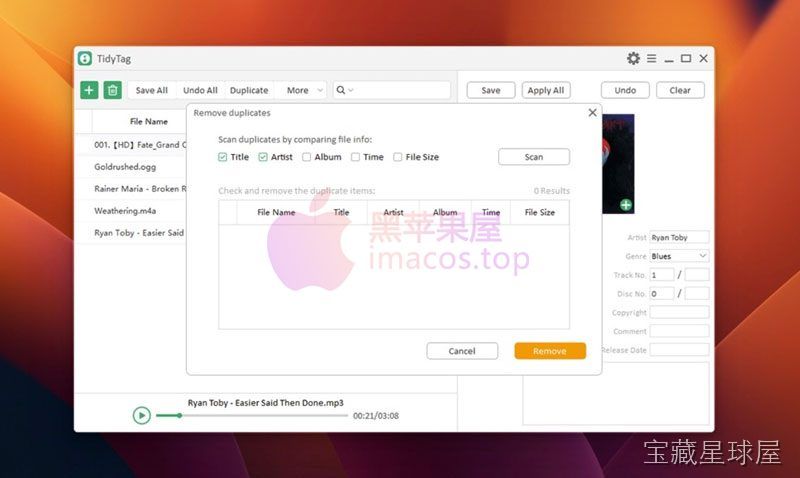 TidyTag Music Tag Editor 截图1