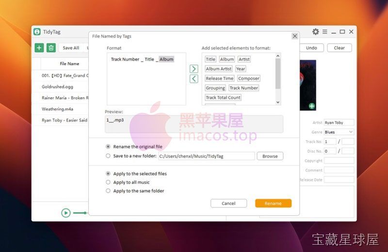 TidyTag Music Tag Editor 截图2