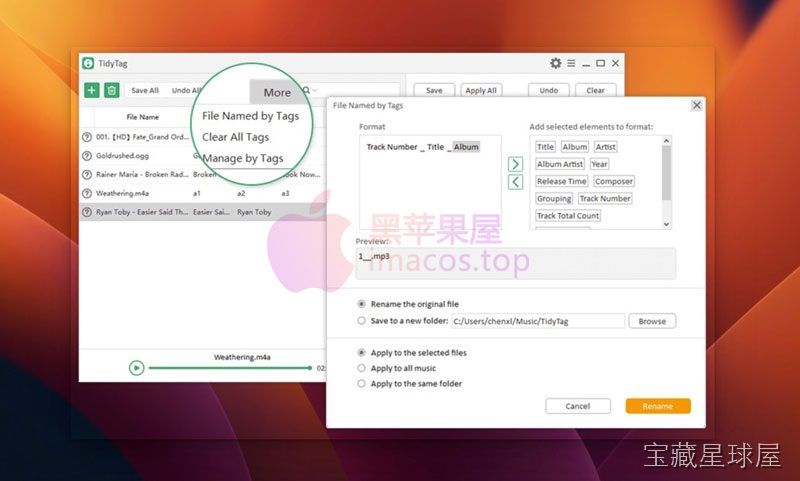 TidyTag Music Tag Editor 截图3
