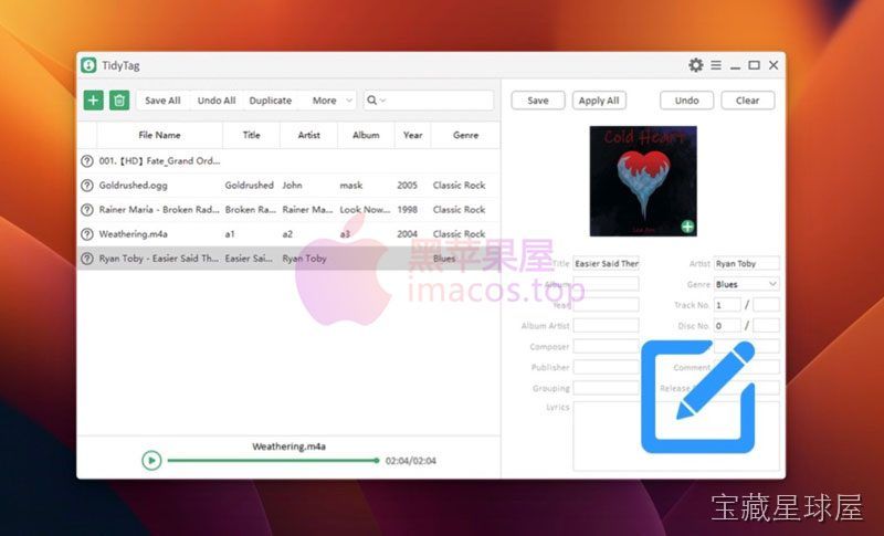 TidyTag Music Tag Editor 截图4