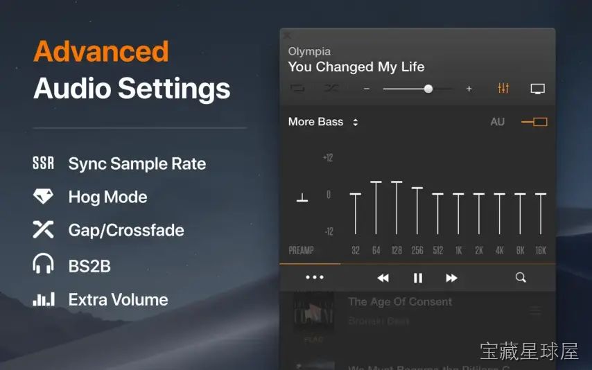 VOX: MP3 & FLAC Music Player 截图2