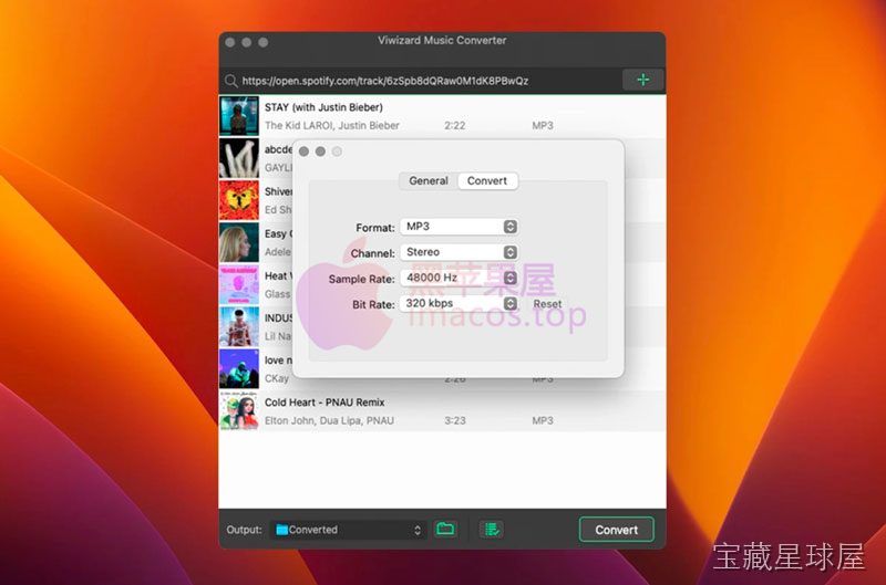 Viwizard Spotify Music Converter 截图2