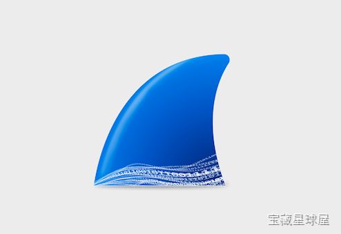 Wireshark 4.4.5 Mac中文版网络嗅探抓包工具，实时捕获并分析网络数据包-山海之花 - 宝藏星球屋