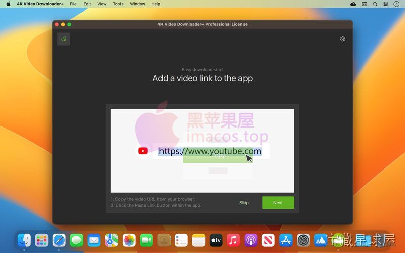 4K Video Downloader Plus Pro 截图1
