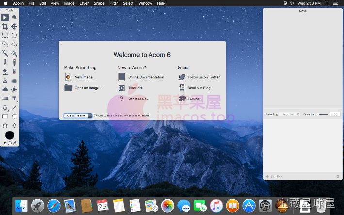 Acorn 截图1