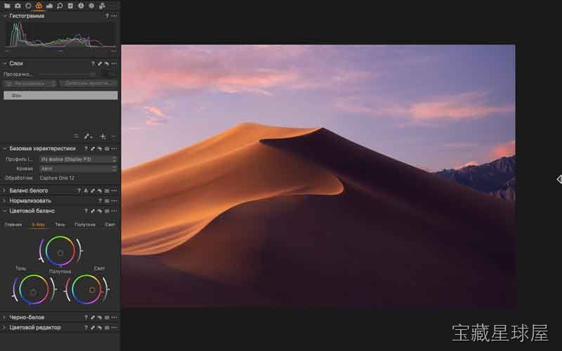 Capture One Pro 截图3