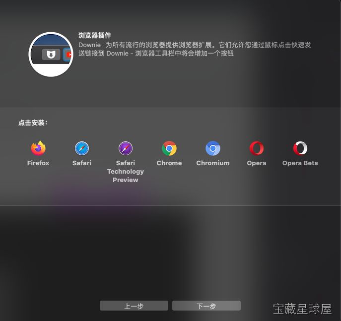 Downie 截图3