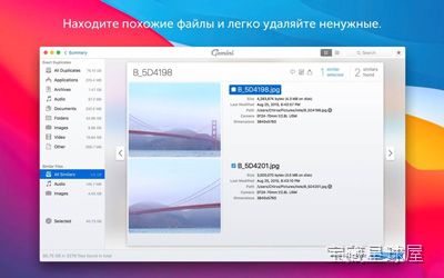 Gemini 截图2