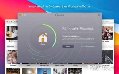 Gemini 截图3