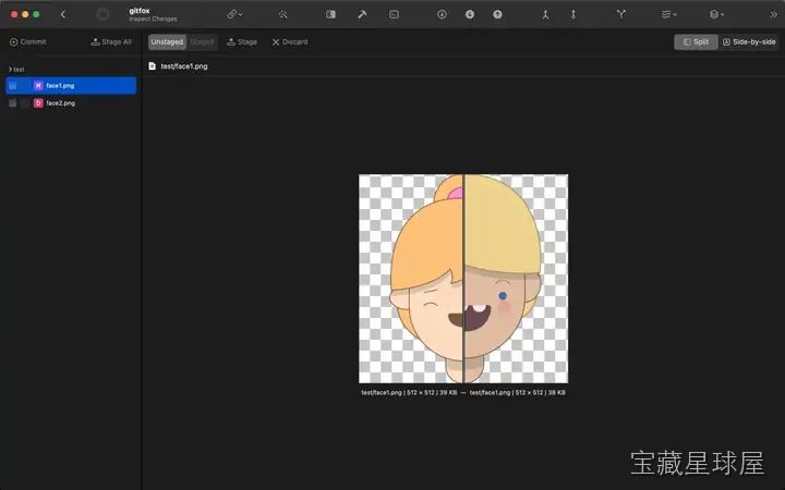Gitfox 截图2