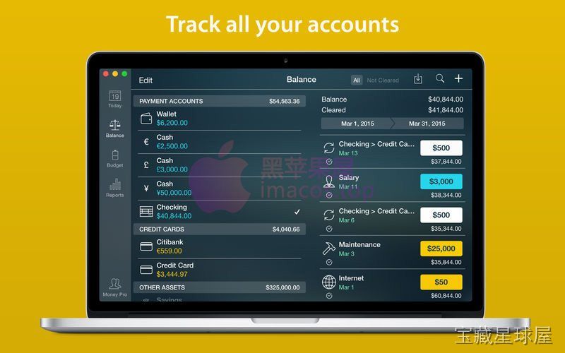 Money Pro 截图2
