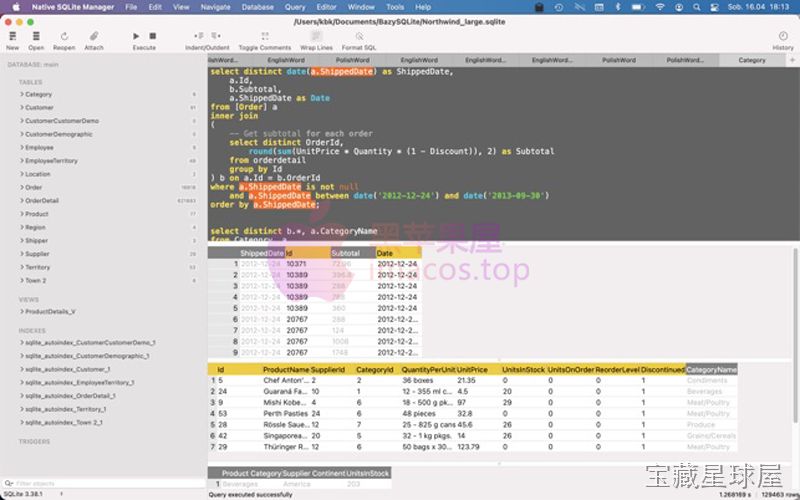 Native SQLite Manager 截图1