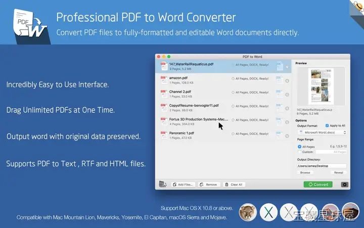 PDF to Word - Flyingbee 截图2