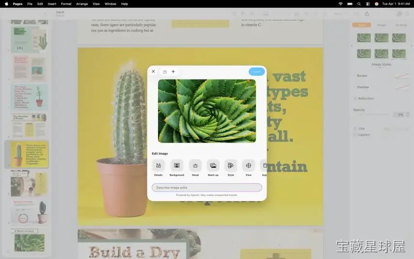 Pages Creator Studio 截图3