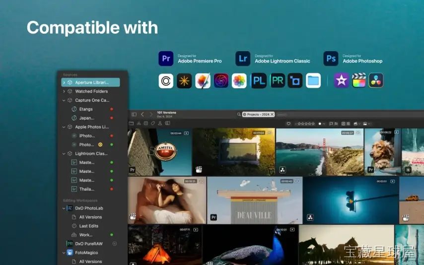 Peakto – Al Media Organizer 截图2